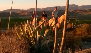 Ruta “Llano de Don Antonio”